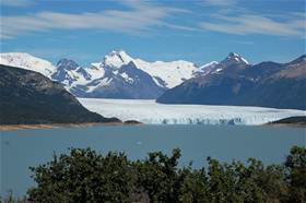 Calafate