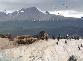 Ushuaia Cl&#225;ssico com Pinguinera - 5 Dias